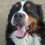 Renée Barron - @nanukenoch.rb - Instagram