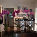 Renee Bates Designs - @reneebdesigns - Instagram