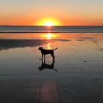 Renee Bauer - @renee3228 - Instagram