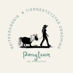 Renee Bauer - @ponyteam_roemerhof - Instagram