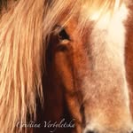 Renee Bauer - @wrenbauer - Instagram