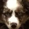 Renee Stoffel Bauer - @bradybauer20 - TikTok