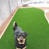 reneebauer71 - @reneebauer71 - TikTok