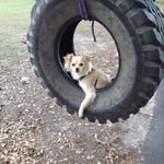 @renee_baxley13 - Instagram