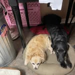 Renee Baxley - @renee.baxley - Instagram