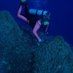 Renee - @reneebayless - Instagram