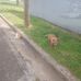 Renee Beckwith - Facebook