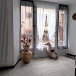 Rene Beringer - Facebook
