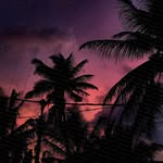 Renee Beringer - @reneeberinger - Instagram