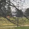 Renee best - @renee.best4 - TikTok