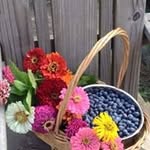 Renee Blackburn - @renee.blackburn.779 - Instagram
