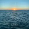 reneeblackburn - @renee_blackburn_8 - TikTok
