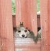Renee Blanton - Facebook