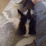 Renee Bolduc - @marie_la_best_6 - Instagram