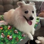 Renee Boswell - @renee.boswell - Instagram