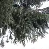Marie Renee Bourgeoi - @mariereneebourgeois - TikTok