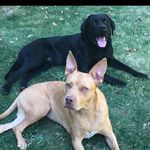 Renee Braden - @bradens20 - Instagram