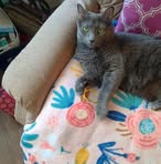 Renee Braswell - Facebook