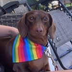 punky brewster-farnum - @punkyreneebrewster - Instagram