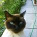 Rene Braunstein - Facebook