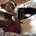 Renee Bulger - Facebook