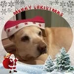 Renee Burgert - @burgertrenee - Instagram