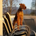 René Burkhard - Facebook