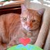 Renee Calloway - Facebook