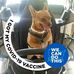 Renee Cannon - Facebook