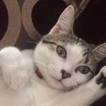Renee Cannon - @reneecannon1199 - Instagram