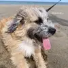 Rene Caputo - @rene7280229 - TikTok