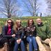 Renee Carnes-Rook - Facebook