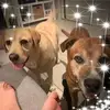 Renee Carney - @renee.carney - TikTok