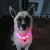 Renee Caron - @renee.caron4 - TikTok