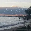 reneecaudill919 - @reneecaudill919 - TikTok