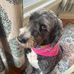 Renee Chalmers - Facebook