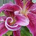 Renee Chalmers - Facebook
