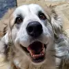 Charity Renee - @charity.renee3 - TikTok