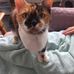Renée Clement - Facebook