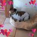 Renée Clement - Facebook