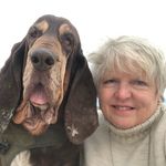 Renee Shawn Clement - @whiskeyriverthebloodhound - Instagram