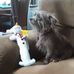 Renee Coates - Facebook
