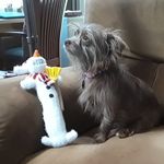 Renee Coates - @renee.coates.96 - Instagram