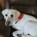 Renee Coates - Facebook