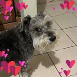 Rene Concepcion - @peluquero_54 - Instagram