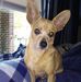 Renee Conroy - Facebook