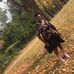 Renee Corbin - Facebook