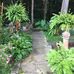 Renee Corcoran - Facebook