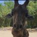Rene Coty - Facebook