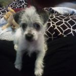 Renee Coty - @reneecoty - Instagram